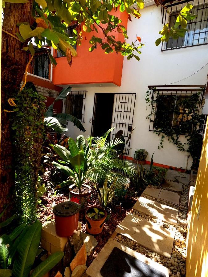 Appartamento Casa Lomas Del Marinero Internet Starlink Sin Garaje Puerto Escondido  Esterno foto