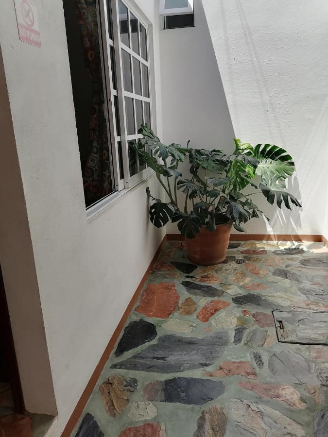 Appartamento Casa Lomas Del Marinero Internet Starlink Sin Garaje Puerto Escondido  Esterno foto
