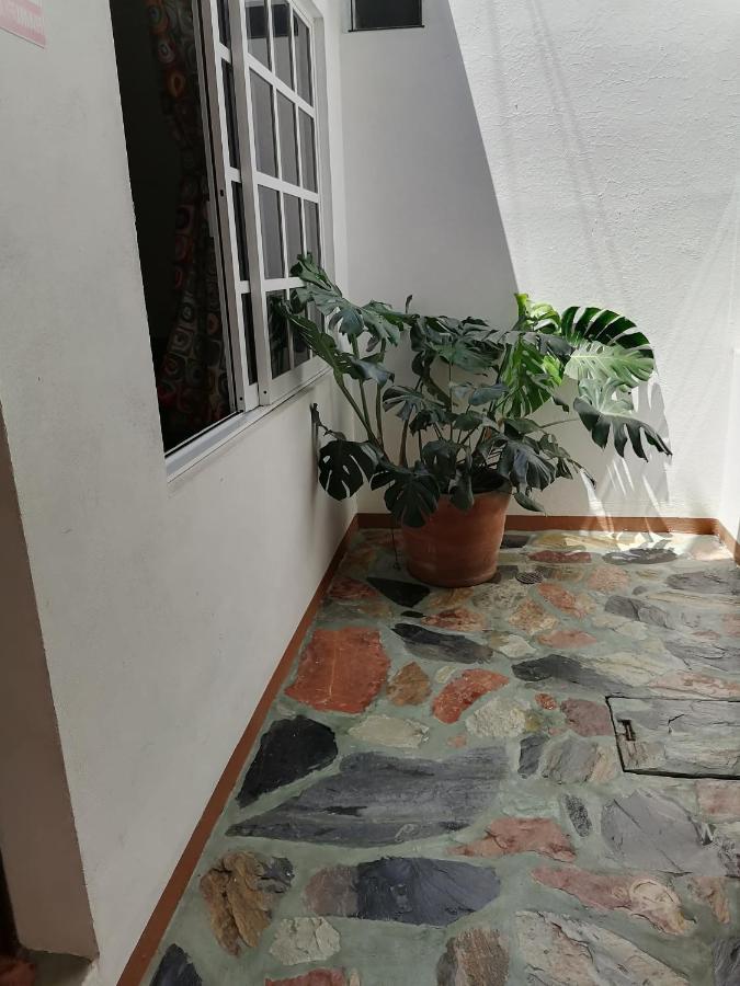 Appartamento Casa Lomas Del Marinero Internet Starlink Sin Garaje Puerto Escondido  Esterno foto